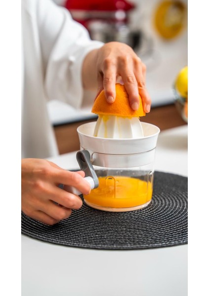 Ludıa Manuel Kollu Pratik Narenciye Sıkacağı modelleri