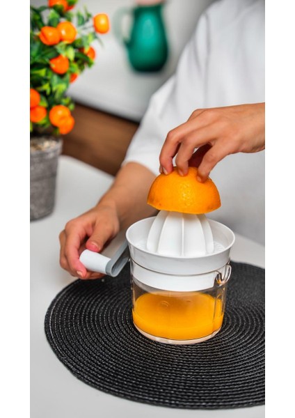 Ludıa Manuel Kollu Pratik Narenciye Sıkacağı indirimleri