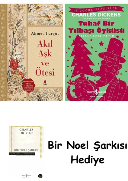 Akıl Aşk ve Ötesi + Tuhaf Bir Yılbaşı Öyküsü + Bir Noel Şarkısı