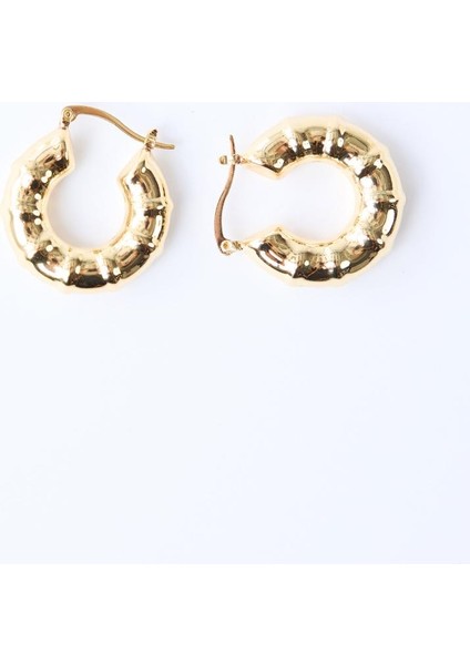 Altın Rengi Kıvrım Halka Küpe fiyatları