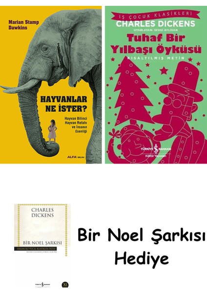 Hayvanlar Ne Ister? + Tuhaf Bir Yılbaşı Öyküsü + Bir Noel Şarkısı