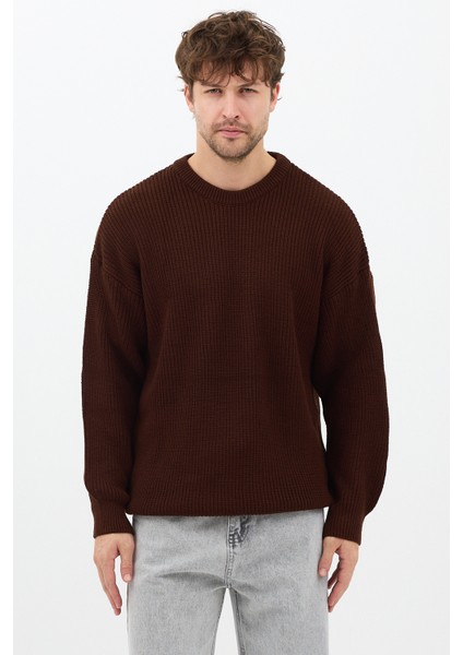 Erkek Kahve Regular Fit Bisiklet Yaka Örgülü Triko