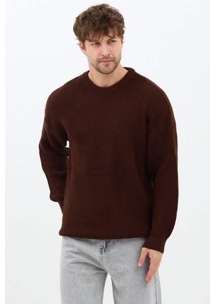 Erkek Kahve Regular Fit Bisiklet Yaka Örgülü Triko fiyatları