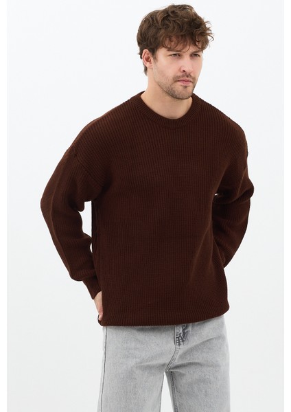 Erkek Kahve Regular Fit Bisiklet Yaka Örgülü Triko modelleri