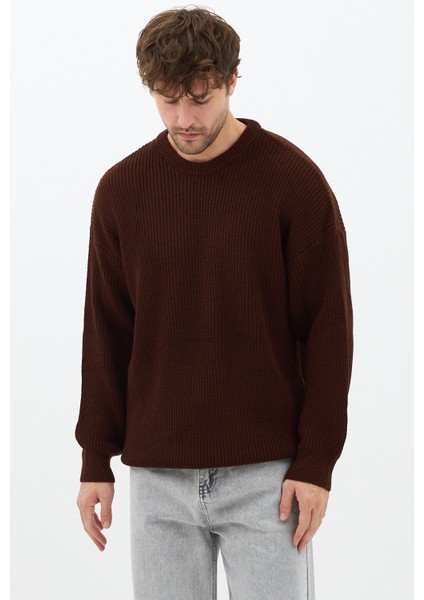 Erkek Kahve Regular Fit Bisiklet Yaka Örgülü Triko indirimleri