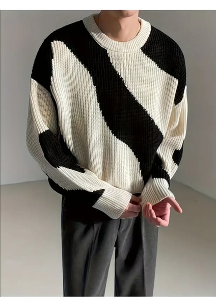 Erkek Siyah-Beyaz Regular Fit Triko Kazak