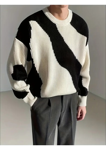 Erkek Siyah-Beyaz Regular Fit Triko Kazak fiyatları