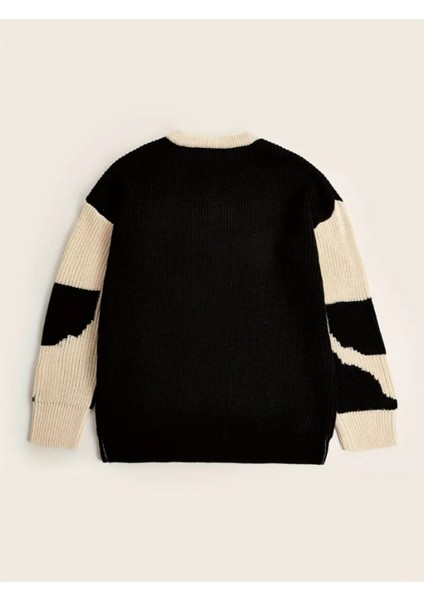 Erkek Siyah-Beyaz Regular Fit Triko Kazak modelleri