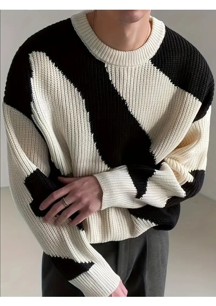 Erkek Siyah-Beyaz Regular Fit Triko Kazak fırsatları