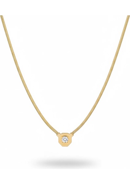 Baget Balık Sırtı Altın Kolye