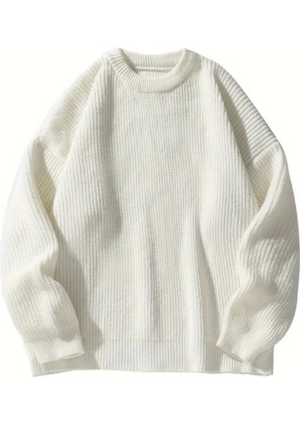 Erkek Beyaz Regular Fit Bisiklet Yaka Örgülü Triko