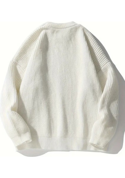 Erkek Beyaz Regular Fit Bisiklet Yaka Örgülü Triko indirimleri