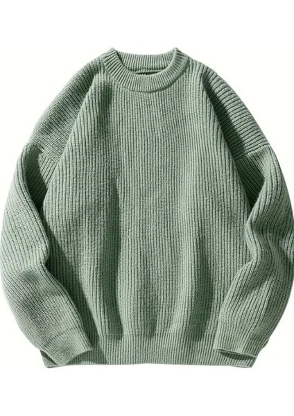 Erkek Regular Fit Bisiklet Yaka Örgülü Triko