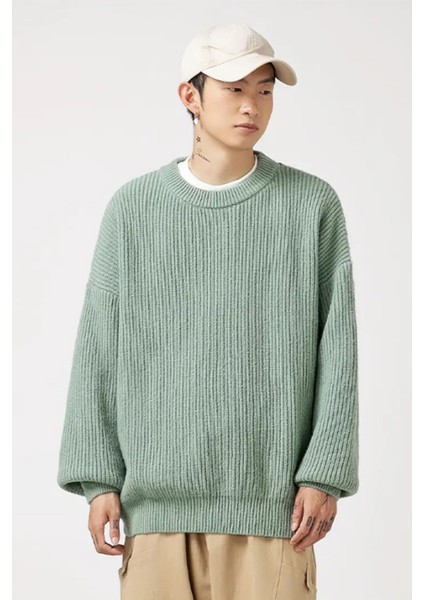 Erkek Regular Fit Bisiklet Yaka Örgülü Triko modelleri