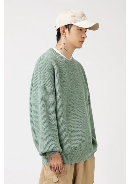 Erkek Regular Fit Bisiklet Yaka Örgülü Triko fırsatları