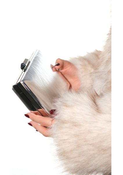 Ivan Gümüş Cilt Kadın Abiye Çanta fiyatları