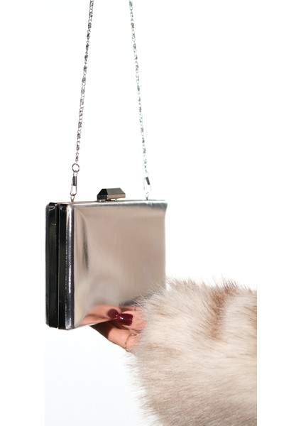 Ivan Gümüş Cilt Kadın Abiye Çanta modelleri