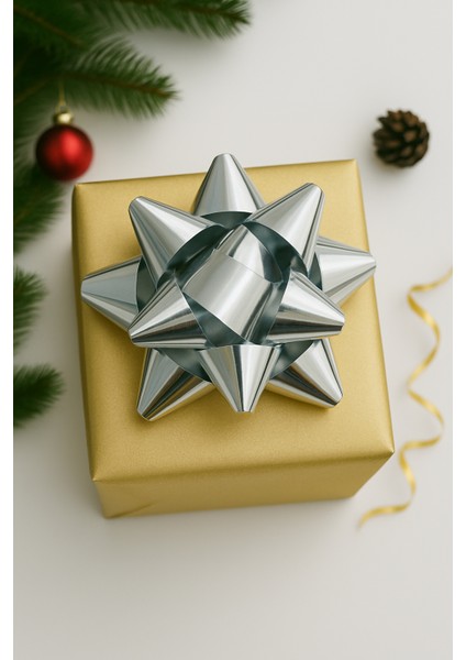 3 Adet Parlak Gümüş Büyük BOY-10CM Metalik Fiyonk Kutu ve Ambalaj Süsü Rafya Yapışkanlı Yıldız Süs indirimleri