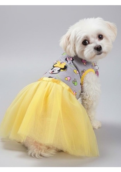 Sevimli Fare Sunny Tütü Köpek Kıyafeti | Sarı Tütülü Elbise | Küçük Irk Köpekler Için
