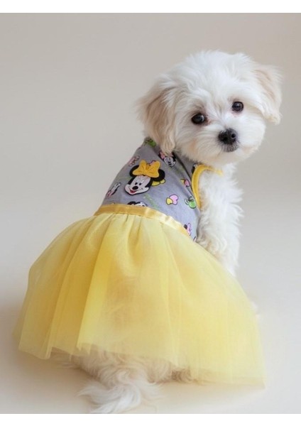 Sevimli Fare Sunny Tütü Köpek Kıyafeti | Sarı Tütülü Elbise | Küçük Irk Köpekler Için indirimleri