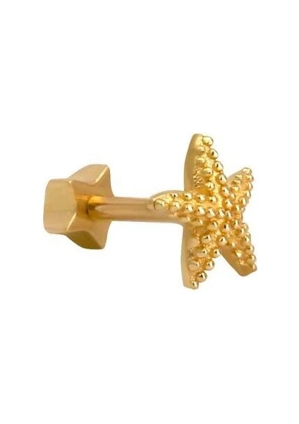 Unisex Deniz Yıldızı Tragus