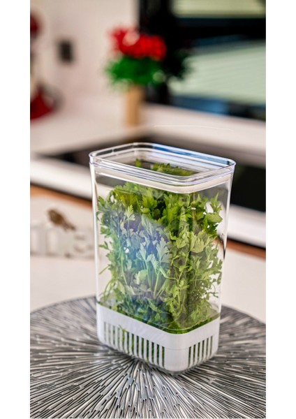 Vakum Kapaklı Sebze Yeşillik Saklama Kabı 2900 ml fırsatları