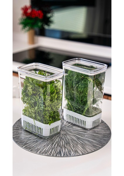 Vakum Kapaklı Sebze Yeşillik Saklama Kabı 2900 ml indirimleri