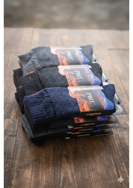 ; Havlu Lambswool (Yün) Thermal Erkek Çorap; Asorti 12'li Paket modelleri
