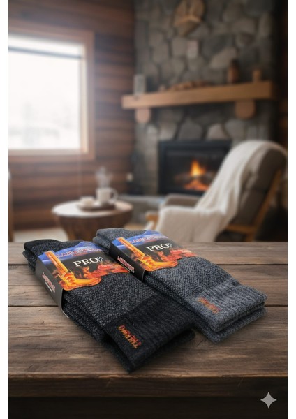 ; Havlu Lambswool (Yün) Thermal Erkek Çorap; Asorti 12'li Paket fırsatları