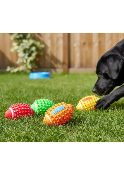 Kedi Köpek Isırma Topu Sesli indirimleri