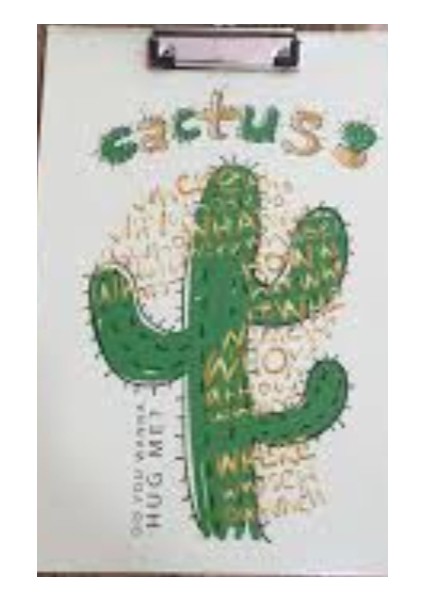 Sekreterlik St-20 Kaktüs Desenli Kapaksız +Lizi A5 Renkli Çizgili Defter 40YP