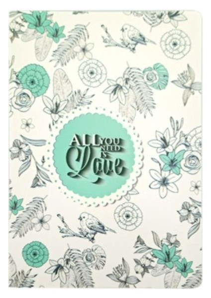 Sekreterlik St-20 Kaktüs Desenli Kapaksız +Lizi A5 Renkli Çizgili Defter 40YP fiyatları