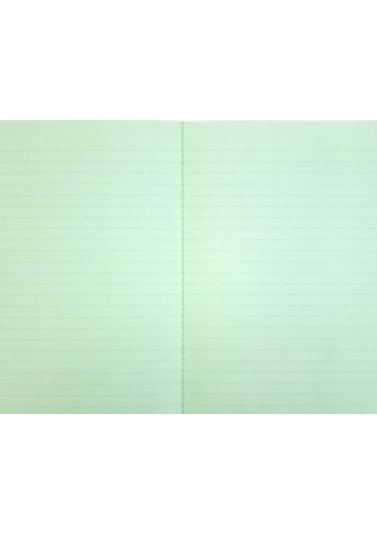 Sekreterlik St-20 Kaktüs Desenli Kapaksız +Lizi A5 Renkli Çizgili Defter 40YP modelleri