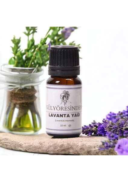 Saf Doğal Lavanta Yağı | Buhar Damıtma – Cilt, Saç ve Aromaterapi Için Premium Esans – Gülyöresinden fiyatları