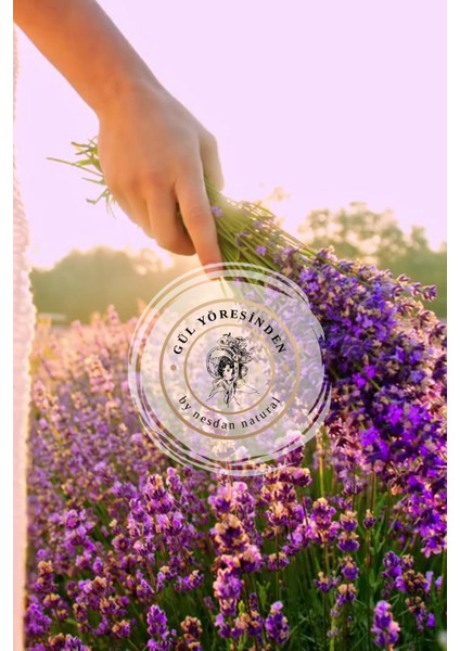 Saf Doğal Lavanta Yağı | Buhar Damıtma – Cilt, Saç ve Aromaterapi Için Premium Esans – Gülyöresinden indirimleri