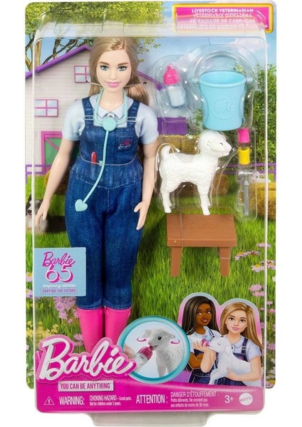 HRG42 Barbie 65. Yıl Deluxe Kariyer Bebekleri - Veteriner indirimleri
