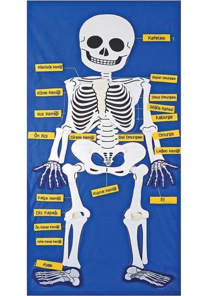 AND-9150 Iskelet Cırtlı Pano fiyatları