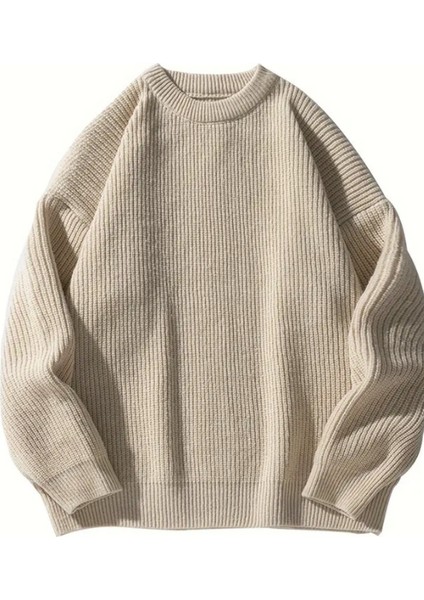 Erkek Bej Regular Fit Bisiklet Yaka Örgülü Triko