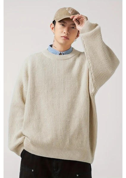 Erkek Bej Regular Fit Bisiklet Yaka Örgülü Triko modelleri