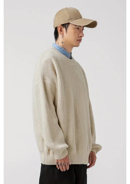 Erkek Bej Regular Fit Bisiklet Yaka Örgülü Triko fırsatları