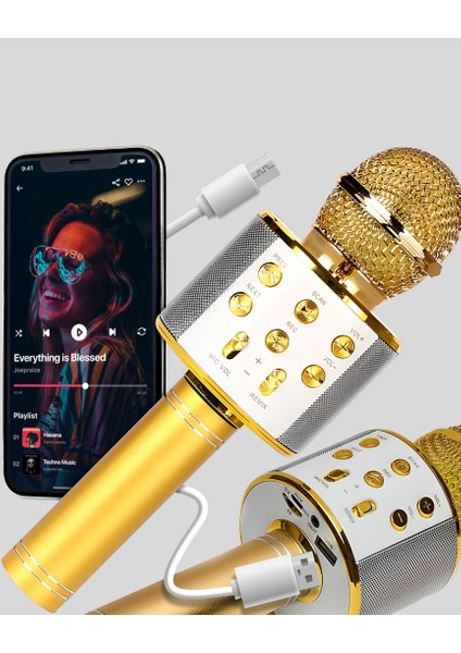 Mtxdpn Karaoke Mikrofonu Bluetooth USB Aux Girişli Yankı Efektli fırsatları