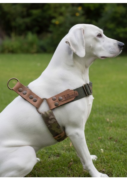 Köpek Göğüs Tasması Orta Irk Ayarlamalı Kolon Kordon Deri Başlı Dog Harness Kamuflaj & Siyah