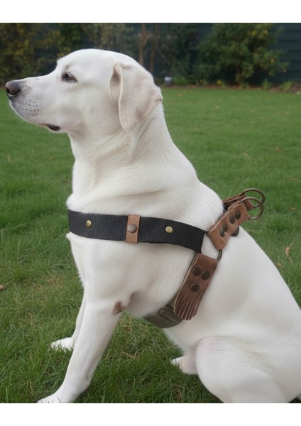 Köpek Göğüs Tasması Orta Irk Ayarlamalı Kolon Kordon Deri Başlı Dog Harness Kamuflaj & Siyah modelleri