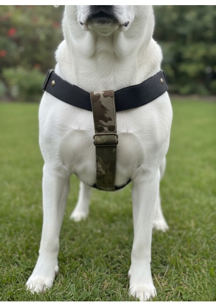 Köpek Göğüs Tasması Orta Irk Ayarlamalı Kolon Kordon Deri Başlı Dog Harness Kamuflaj & Siyah indirimleri