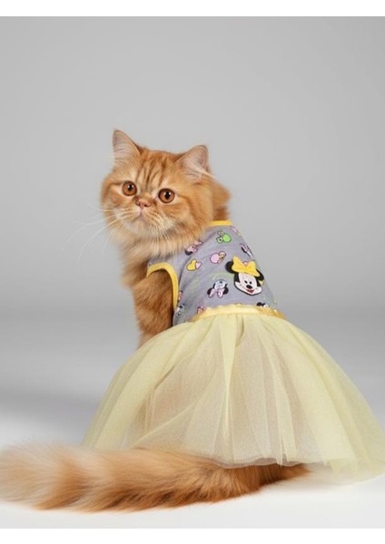 Sevimli Fare Sunny Tütü Kedi Kıyafeti | Sarı Tütülü Elbise | Kediler Için