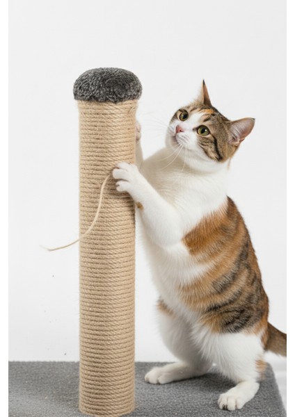 Kedi Tırmalama Tahtası 42 cm – 30X30 Taban Doğal Sisal Ipli Güçlü Gövde