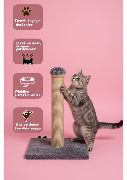 Kedi Tırmalama Tahtası 42 cm – 30X30 Taban Doğal Sisal Ipli Güçlü Gövde fiyatları