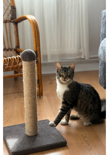 Kedi Tırmalama Tahtası 42 cm – 30X30 Taban Doğal Sisal Ipli Güçlü Gövde fırsatları