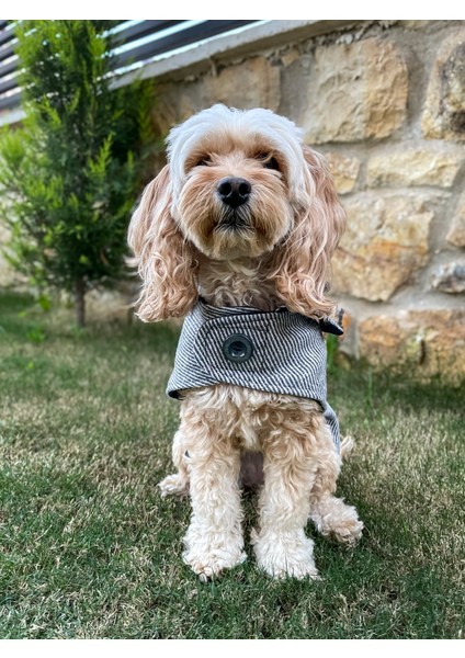 Nardo Gri Kaşe Köpek Kabanı-Köpek Montu fiyatları