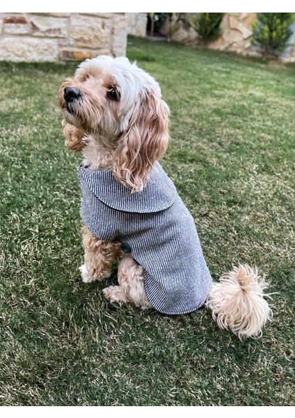 Nardo Gri Kaşe Köpek Kabanı-Köpek Montu modelleri